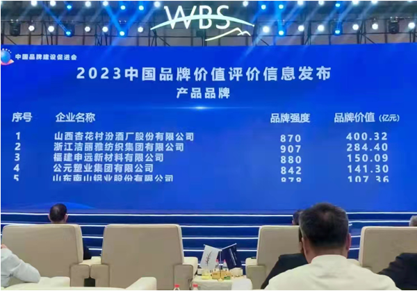 公元股份上榜“2023中国品牌价值评价信息” 为塑料管道KK体育业注入强心针(图1)