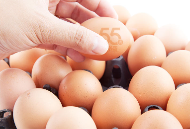 沈师傅55g营养蛋更健康、更安全、更营养！