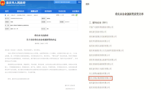 重庆市企业创新奖正式揭晓，新大正获官方点赞