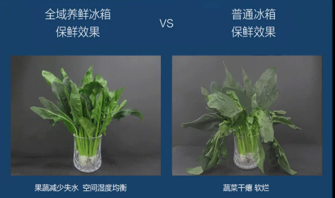 想要省心省力的保存食物？选格力晶弘冰箱就对了！