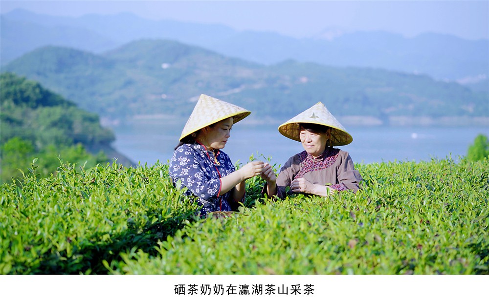 安康富硒茶德润茶业————四代人的传承，只为奉献一杯好茶!