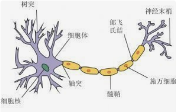 博乐达超分子水杨酸在皮肤护理中的应用：有效修复皮肤屏障