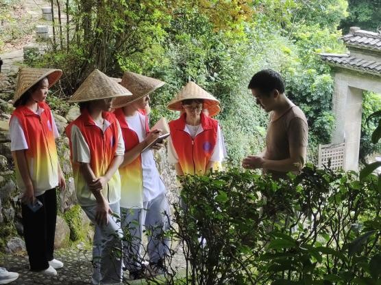 南理学子三下乡：走进刘三姐茶园，弘扬传统茶文化