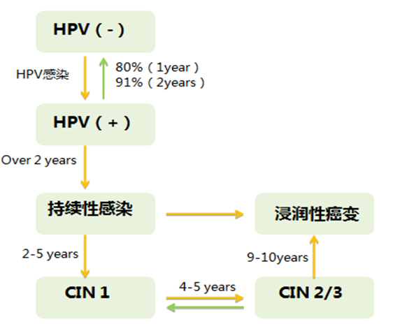 张国楠教授：HPV感染防治新方案——瑞琳他抗阻断HPV研究进展
