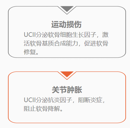 两大欧洲原研机构推出意立舒?Flexikon UCⅡ姜黄素，有效缓解关节问题