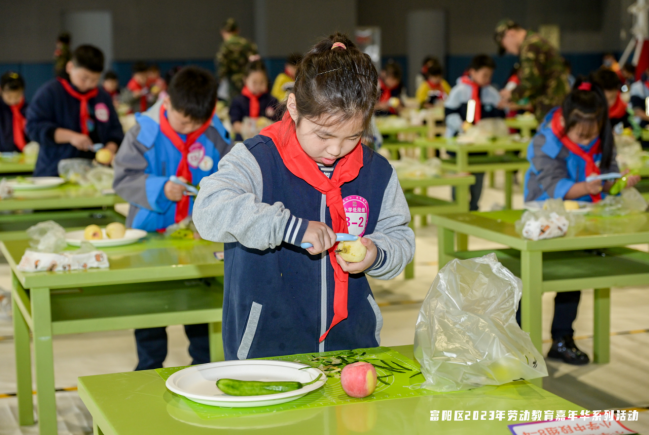 富阳劳动教育嘉年华：张小泉校企协作迈向新高度