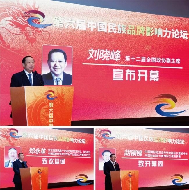 第六届中国民族品牌影响力论坛在京举办