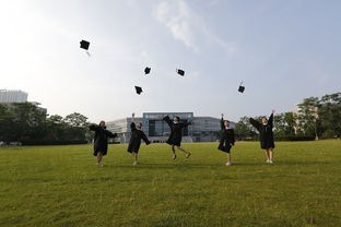 超快速！教师如何建立期末成绩查询系统