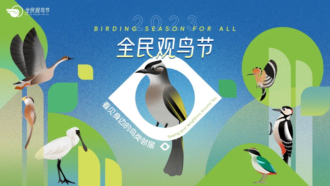 2023全民观鸟节圆满落幕，一起“看见身边的鸟类邻居”