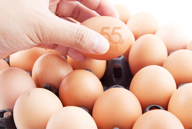 龙年送好礼，沈师傅55g营养蛋给家人朋友送去健康美味！
