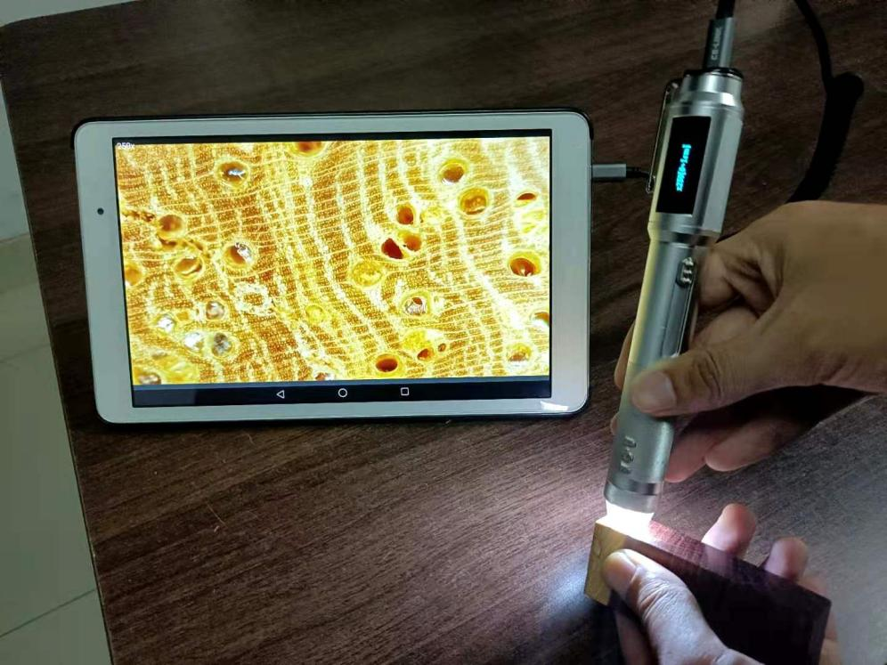 便携式显微镜如何革新传统教学科研方式