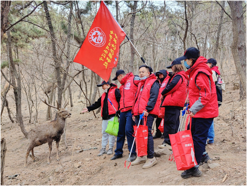 林深见鹿 志愿守护 中粮可口可乐辽宁青年志愿服务队以实际行动守护滨城生态