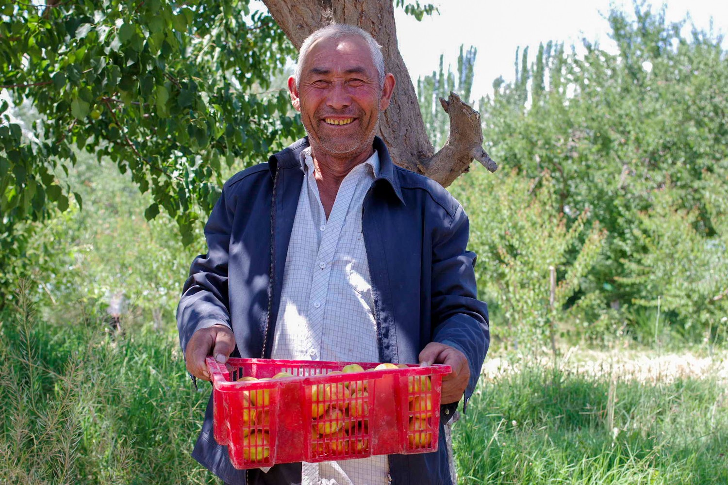 疆果果8年：“新疆大坚果专家”的成长蜕变之路