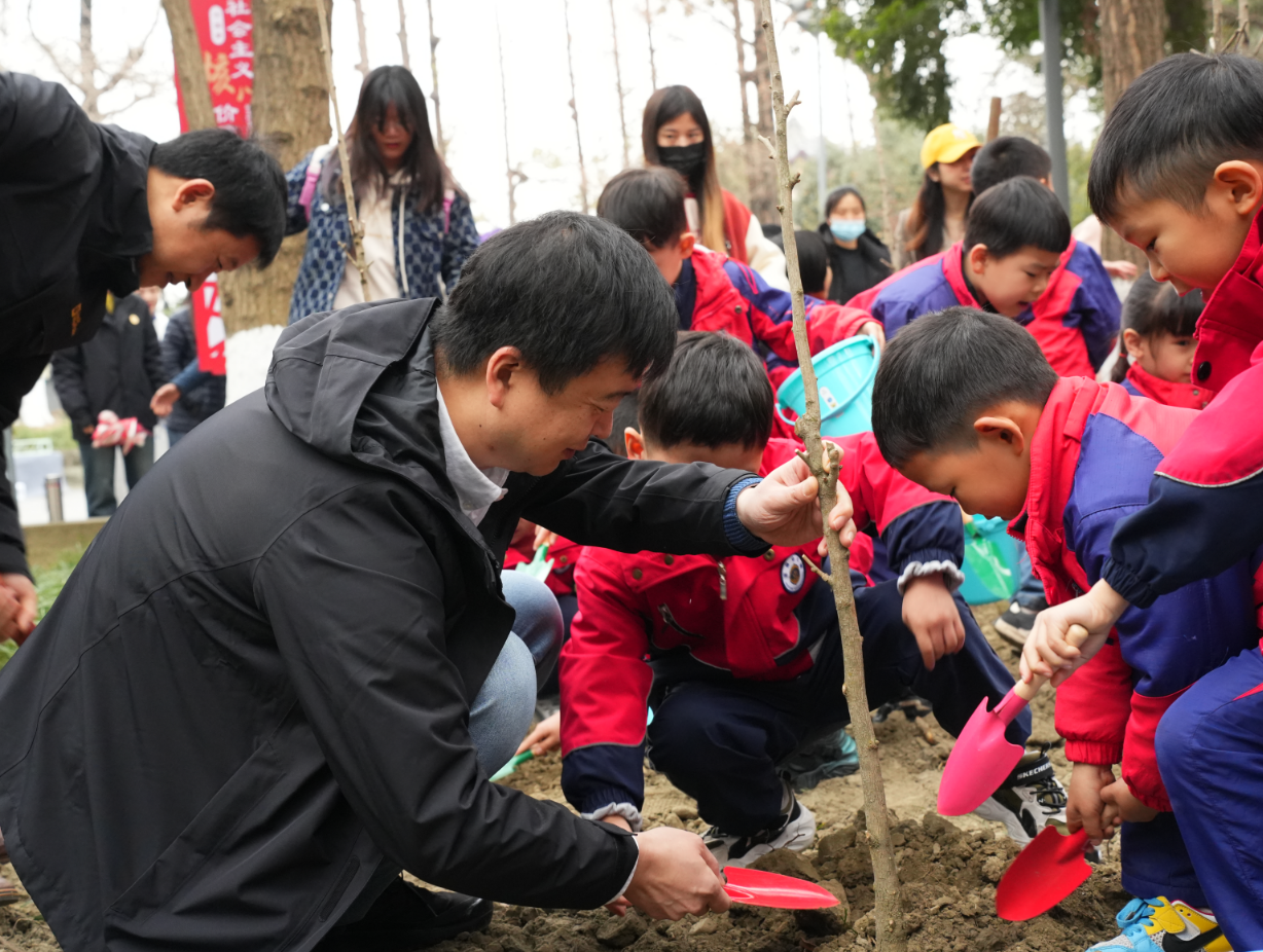 守护绿色记忆 传承千年文化  “2024唐代银杏萌芽季”春日绽放