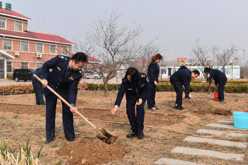 富国滨州港收费站开展“播绿护蓝，共筑美好家园”植树节主题活动