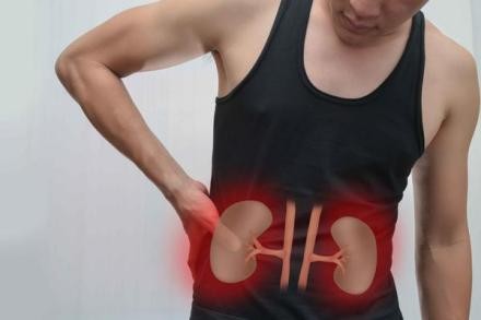 白羽医生提醒：腰部隐隐胀痛，可能是肾脏发出的求救信号(图2)