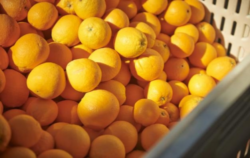 充满橙子味的春天，就在华东地区Ole'精品超市