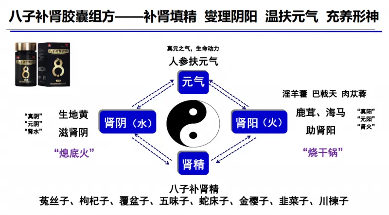 重磅成果！八子补肾胶囊延长自然衰老哺乳动物寿命，挑战生命长度！