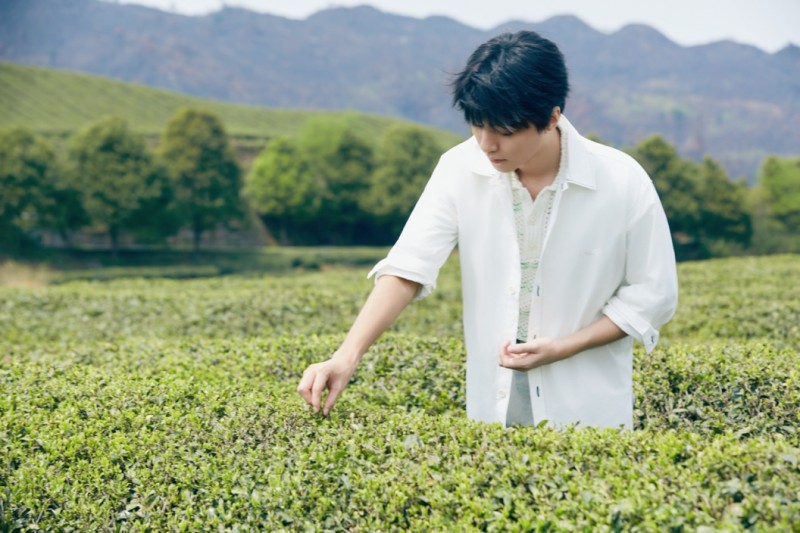 3749.3亿！新中式茶饮崛起 金尘茶携手王俊凯打造国潮茶饮品牌