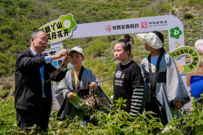 长三角“仲景杯”青少年中医药文化研学游成功举办 感受中医药文化独特魅力