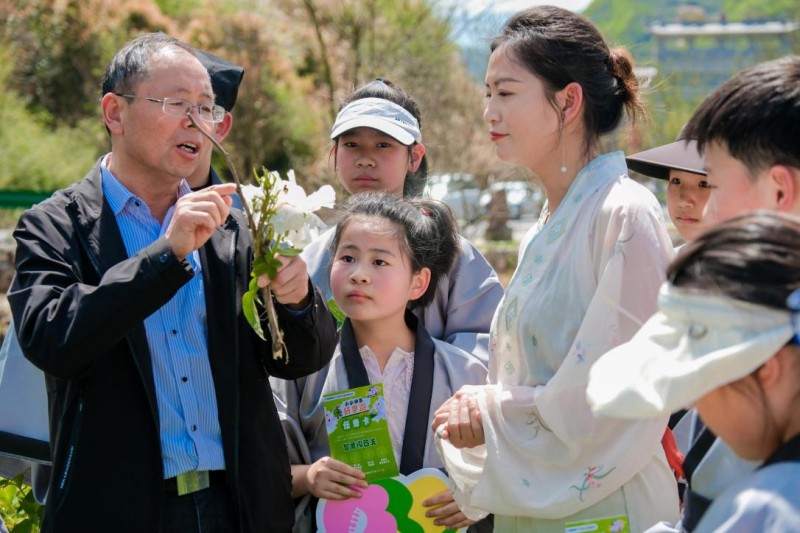 长三角“仲景杯”青少年中医药文化研学游成功举办 感受中医药文化独特魅力