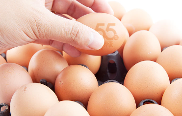 沈师傅55g营养蛋，越来越多家庭认可的优质鸡蛋！