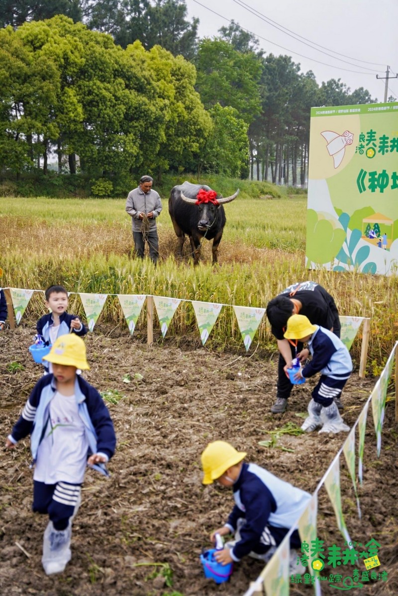 绿野仙踪·春盛良渚——2024良渚春耕大会正绘就田园诗篇