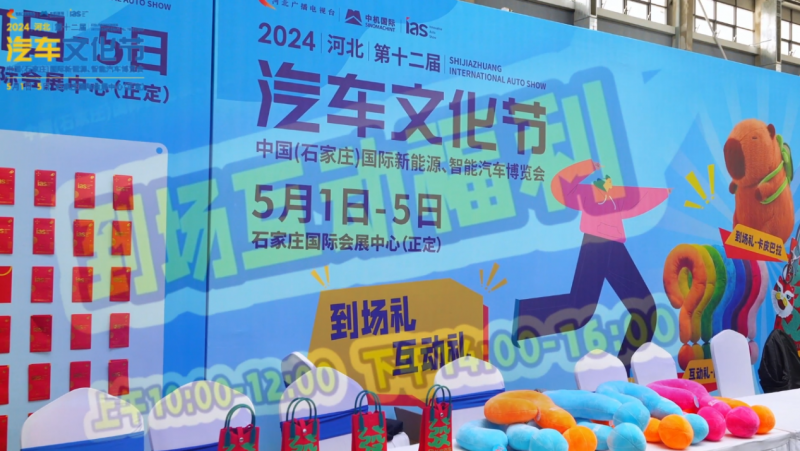 2024河北汽车文化节圆满落幕！(图18)