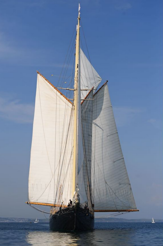 经典帆船赛“RICHARD MILLE Cup”扬风起航