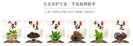 《影响力品牌》栏目：中草药保养先河 养发护发国货之光，马玉秀做客演播厅