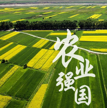 牛散赵建平引领智慧农业投资，奇兵军团助力农业项目迈向新高峰