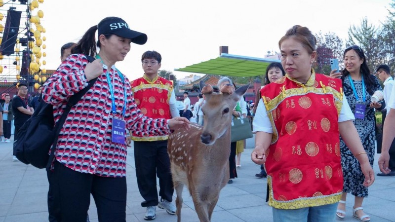 敢问“鹿”在何方  “鹿乡围场”西丰