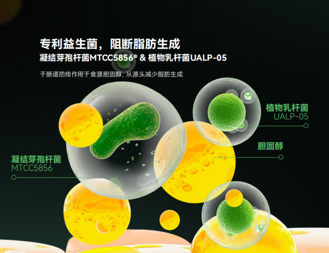 新一代护肝策略：LAIFE「乐轻肝」为肝损伤后的代谢提供新希望