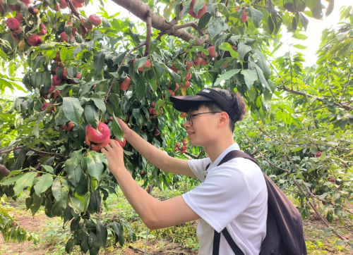 博鱼·综合体育(中国)官方网站入口中石大新材学子暑期社会实践：点亮崔村镇绿色发展(图6)