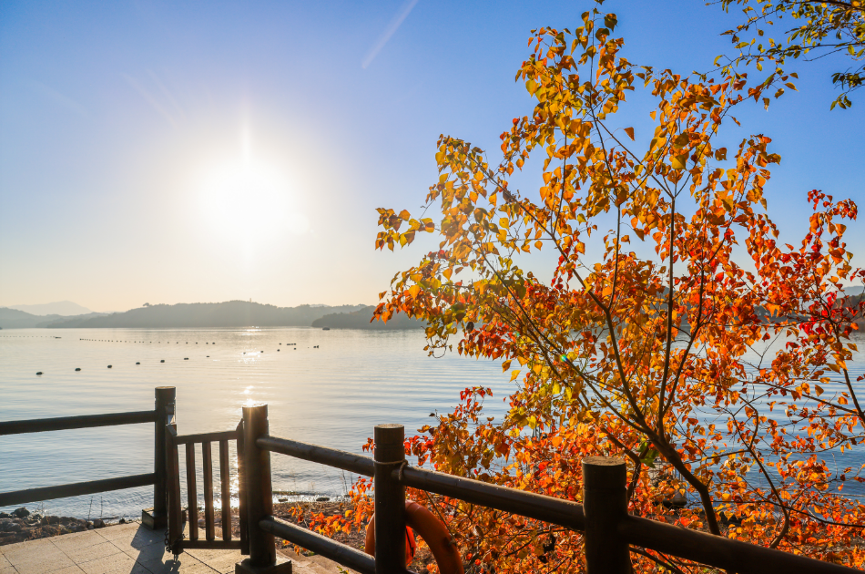 江苏省常住居民免门票！天目湖山水园景区优惠政策“上新”