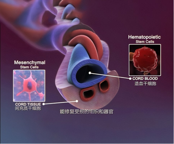 喜报丨易文赛第三款干细胞新药喜获国家药监局药物临床批件！