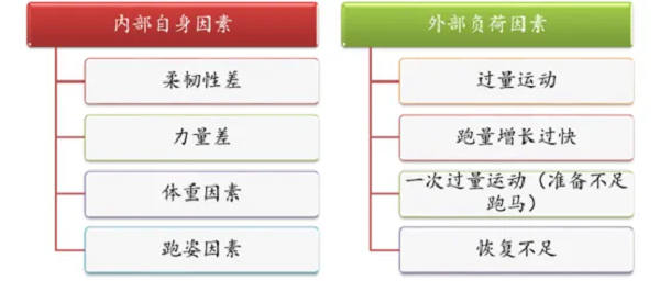 平时如何挑选跑步机？舒华跑步机减震系统获中国体育科学学会专家认可