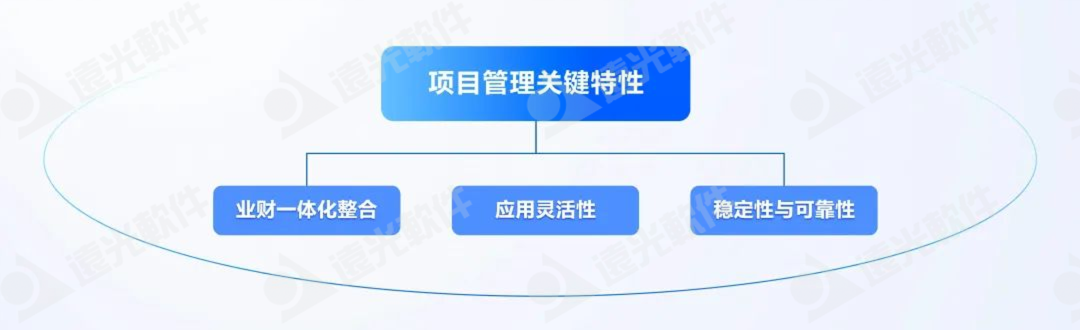 DAP专题丨项目管理：集团企业的高效运营引擎