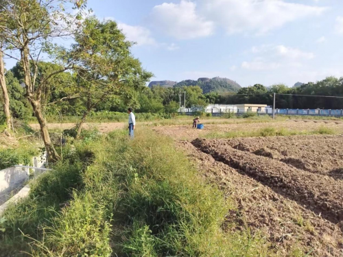 赣县区韩坊镇多措并举抓好秋冬油菜生产工作