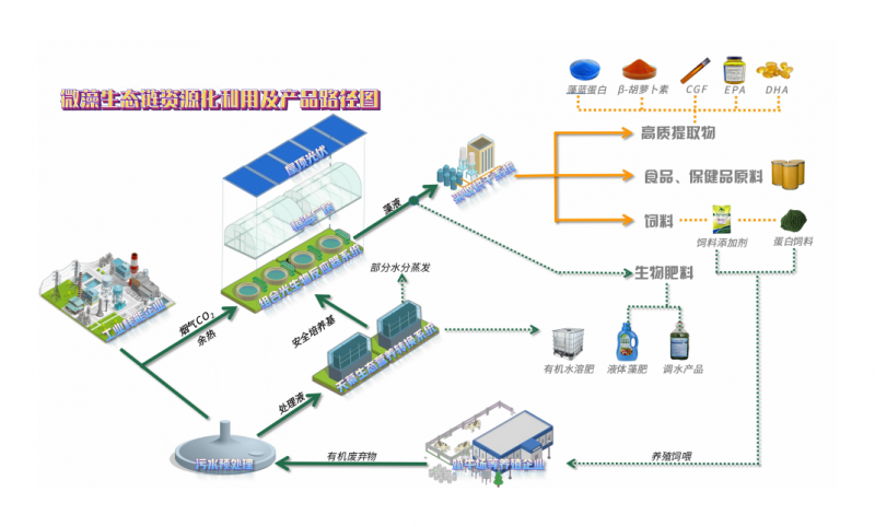 微藻产业革新者：江苏藻链生态科技重塑粮食安全与环保产业版图