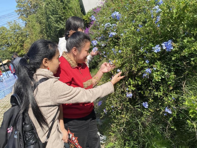 亲近自然.拥抱金秋—秋游活动