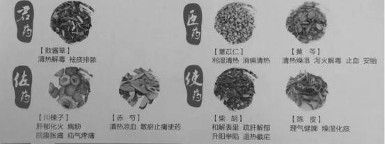 大水牌妇炎康复颗粒， 让女人成为洁白纯净的花