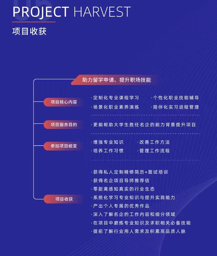 多学米实习业务：助力留学生开启职场成功之门