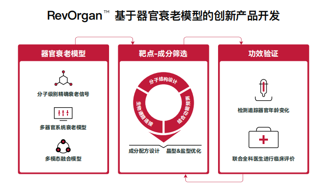 NMN产量提升了百倍！LAIFE「乐悦泰」如何引领健康长寿新趋势？