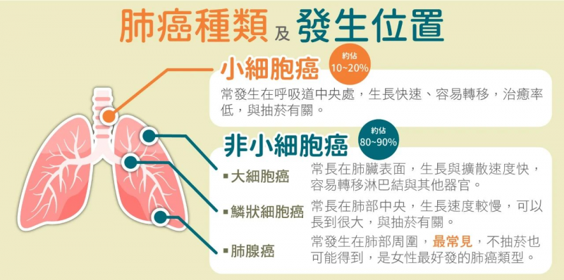 全球肺癌治疗新希望——蘑菇精CP-101的突破性进展