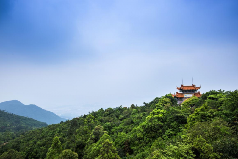 中國有座神奇的山：廣東觀音山國家森林公園（五）(圖1)