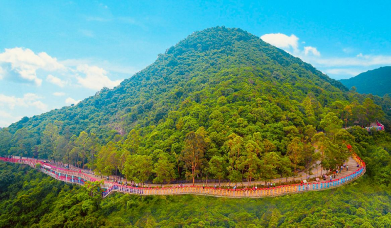 中國有座神奇的山：廣東觀音山國家森林公園（五）(圖4)