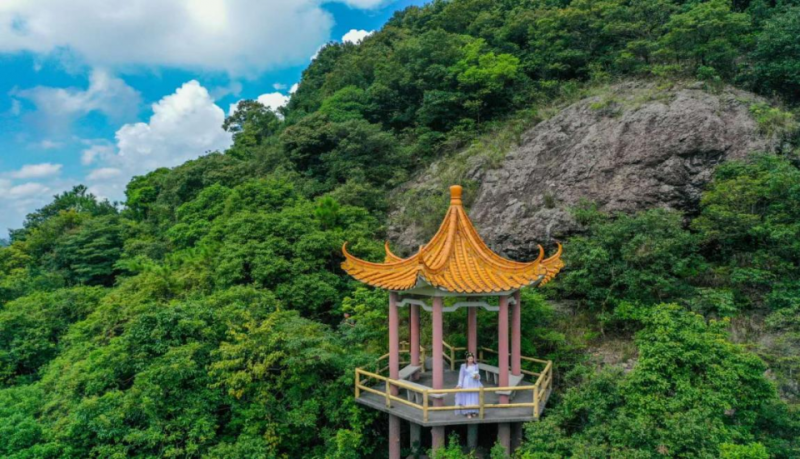 中國有座神奇的山：廣東觀音山國家森林公園（五）(圖5)