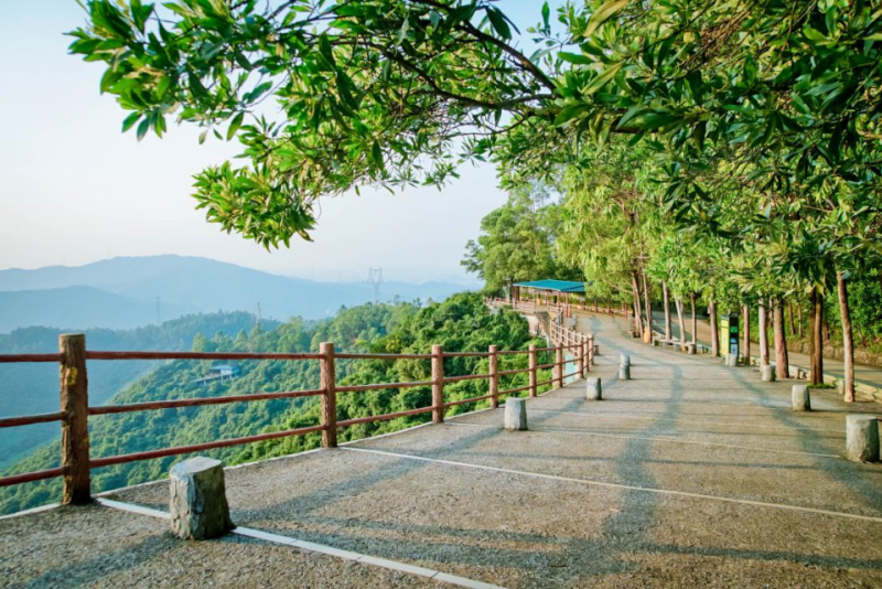 中國有座神奇的山：廣東觀音山國家森林公園（五）(圖8)