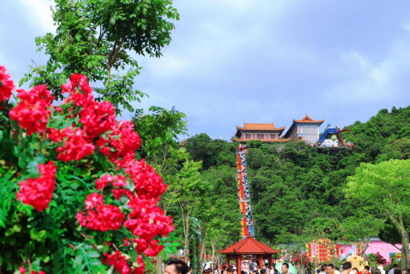 中國有座神奇的山：廣東觀音山國家森林公園（五）(圖9)